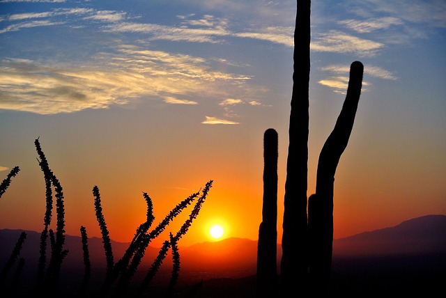 Arizona Sunrise